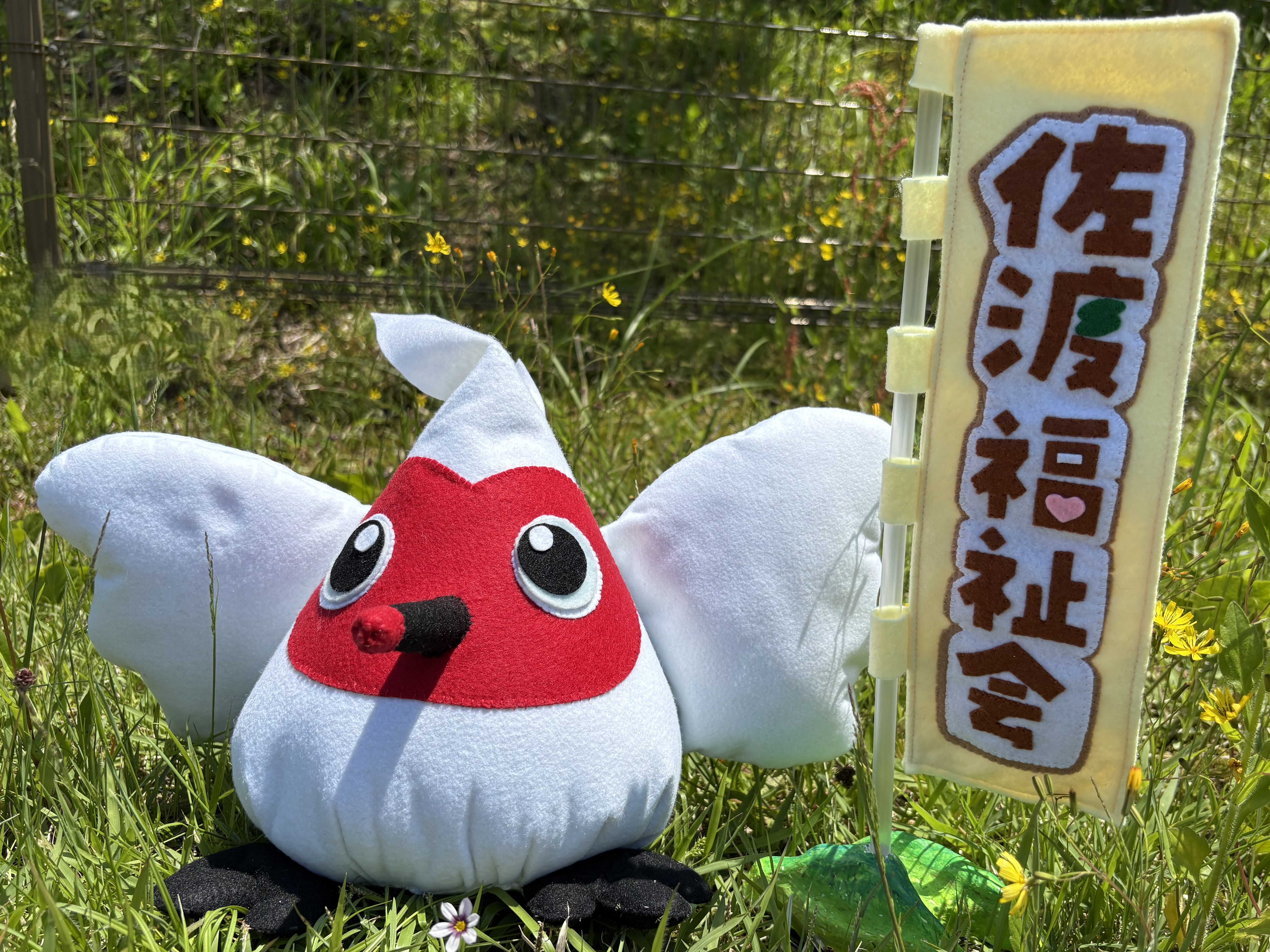 企業画像